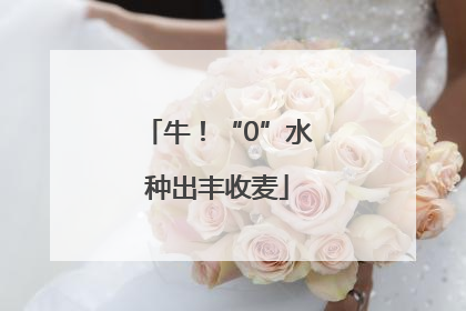 牛！“0”水种出丰收麦